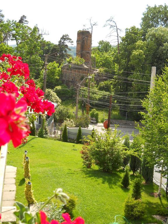 Casa Domneasca Hotel Curtea de Argeş Exterior foto